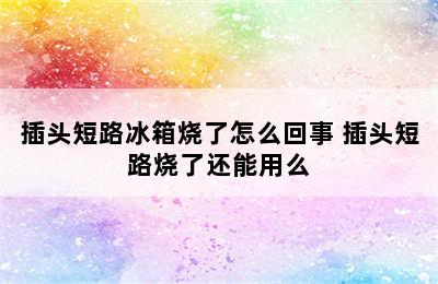 插头短路冰箱烧了怎么回事 插头短路烧了还能用么